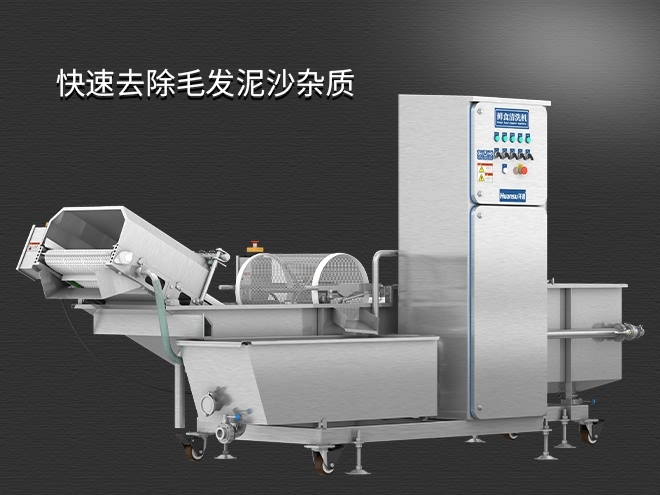 果蔬清洗機制造廠家，氣泡清洗，清洗800kg/小時